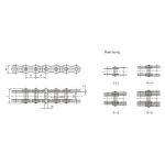 שרשרת פינים רב-צלעות