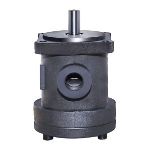 משאבות כנפיים קבועות