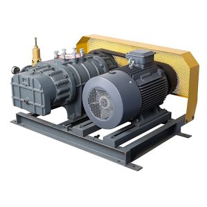 מפוח עם שורשים תלת-אונתיים